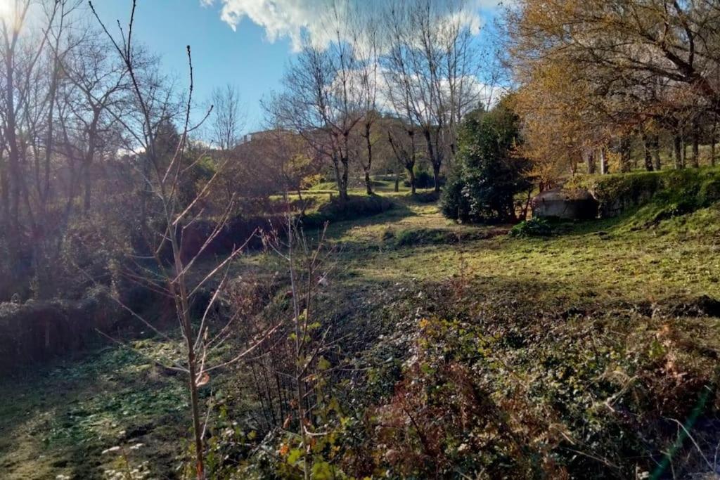 Confort, Fun And Leisure In Douro Rural Space 샌드 외부 사진