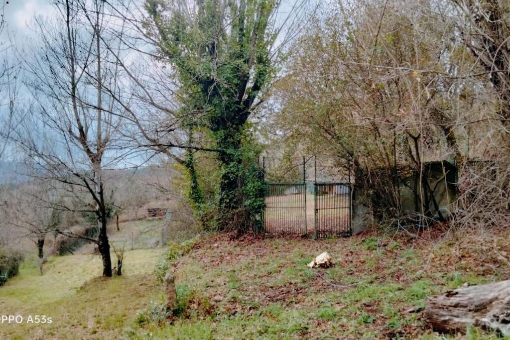 Confort, Fun And Leisure In Douro Rural Space 샌드 외부 사진