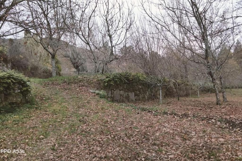 Confort, Fun And Leisure In Douro Rural Space 샌드 외부 사진