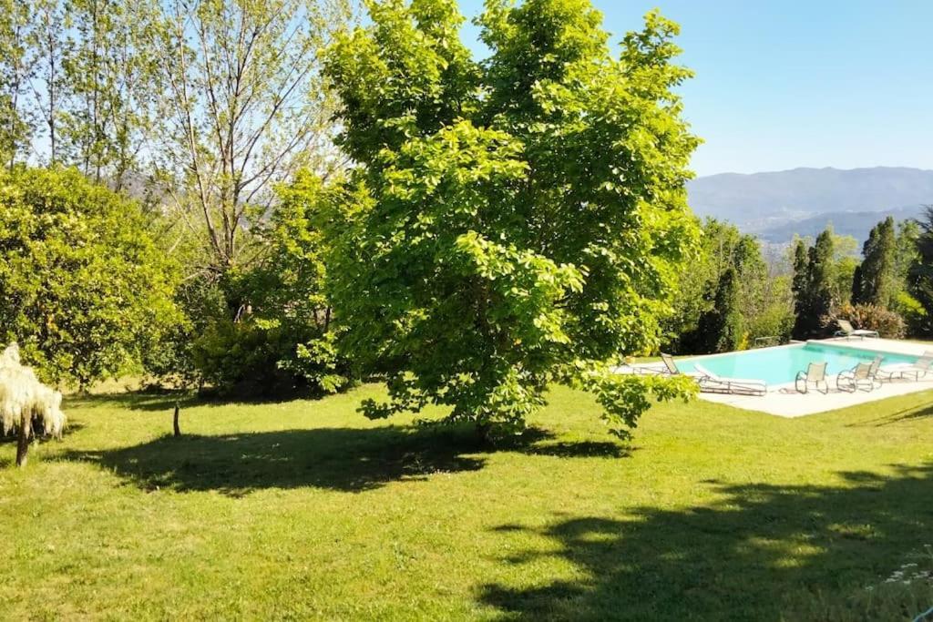 Confort, Fun And Leisure In Douro Rural Space 샌드 외부 사진