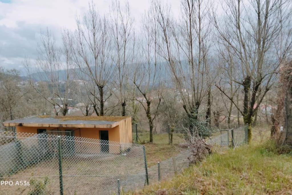 Confort, Fun And Leisure In Douro Rural Space 샌드 외부 사진